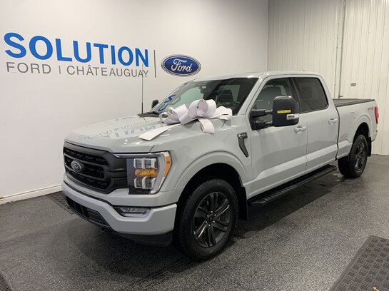 Ford F-150 2023 2023 Gris